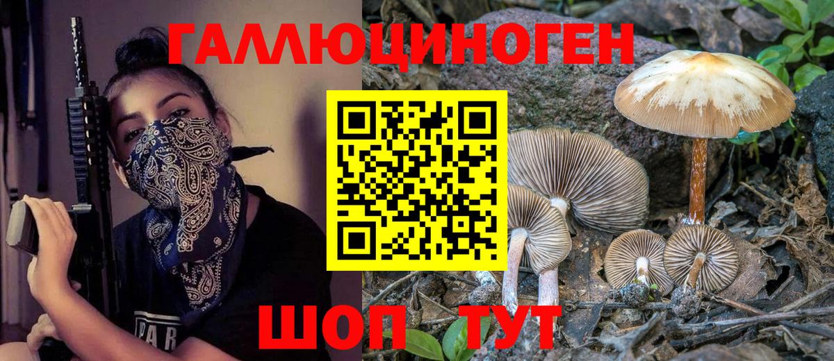 Галлюциногенные грибы GOLDEN TEACHER Сунжа