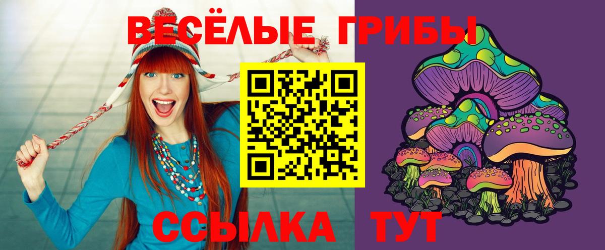 Галлюциногенные грибы GOLDEN TEACHER  Псилоцибиновые грибы мицелий  Сунжа  даркнет сайт  Вход с VPN 
