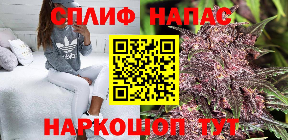 Конопля сатива Сунжа